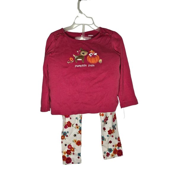 Gymboree Pumpkin Pals Outfit Set Top Skirted Leggings 4T Applique - Picture 3 of 12
